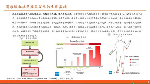 醫(yī)藥行業(yè)深度報告 高尿酸血癥與痛風(fēng)行業(yè)全景及國內(nèi)貿(mào)易代理前景